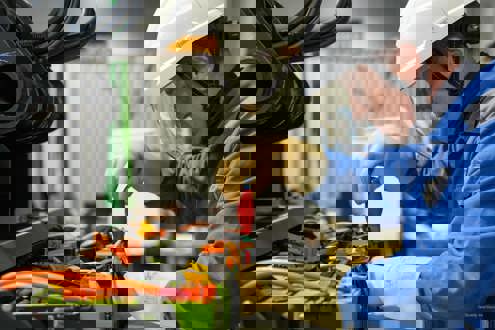 FETIS group carrière