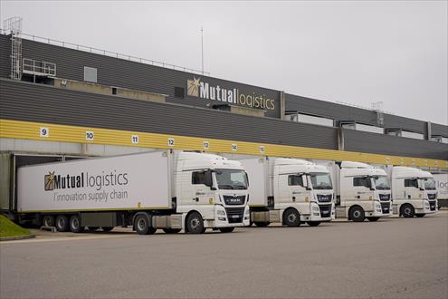 Mutual Logistics recrutement