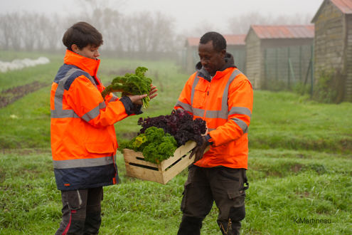 Association Saint Benoit Labre emploi