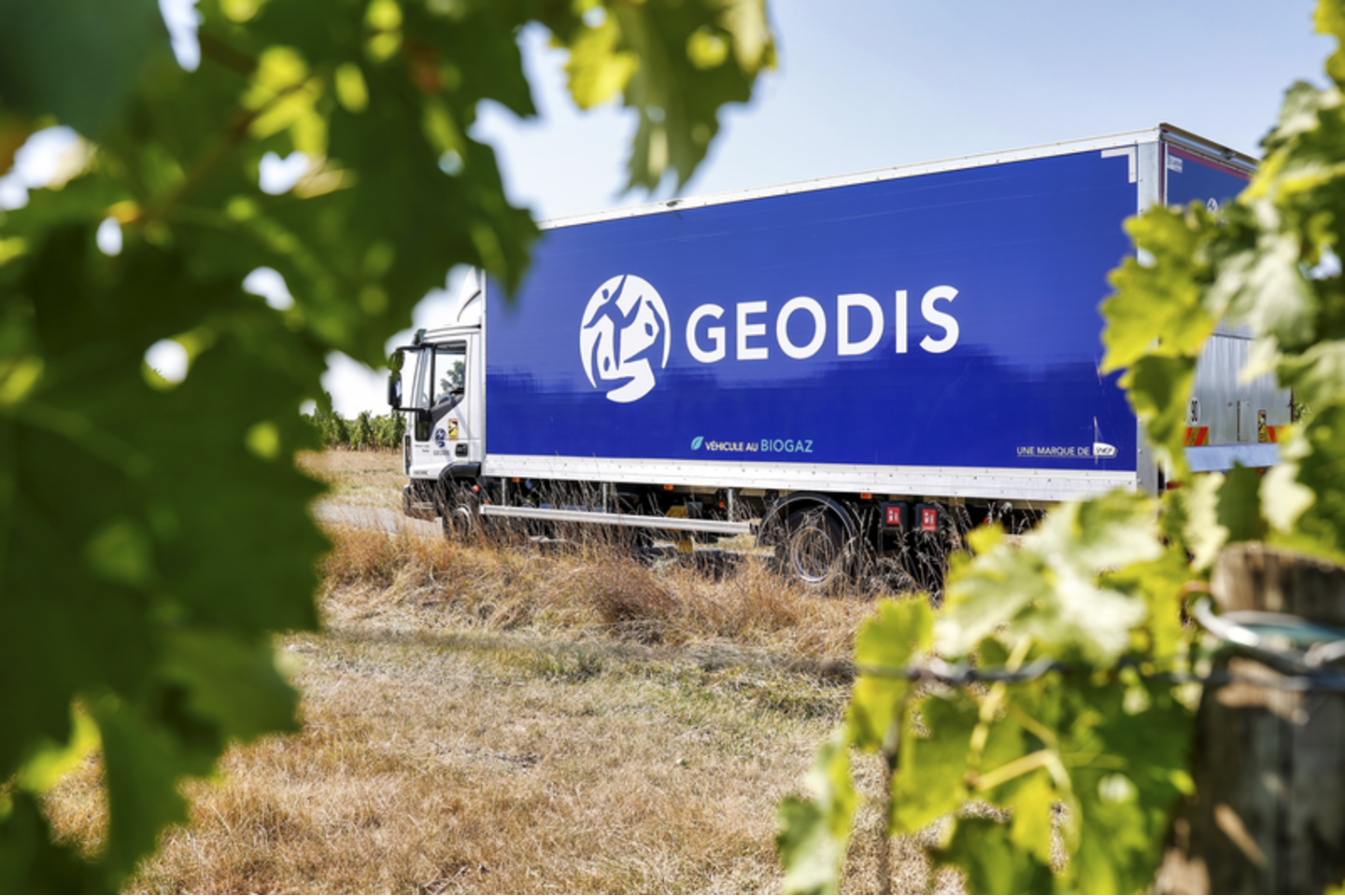 Offre Emploi Cdi Conducteur Pl Gerzat Recrutement Par Geodis Hellowork