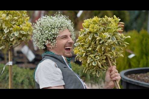 Truffaut recrutement