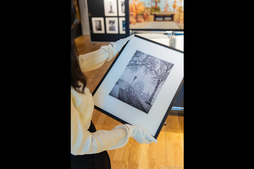 YELLOW KORNER carrière