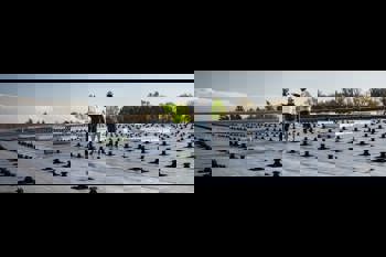 Soprema Entreprises recrutement