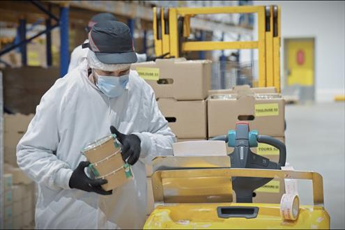 Offres d'emploi Foodiz Groupe