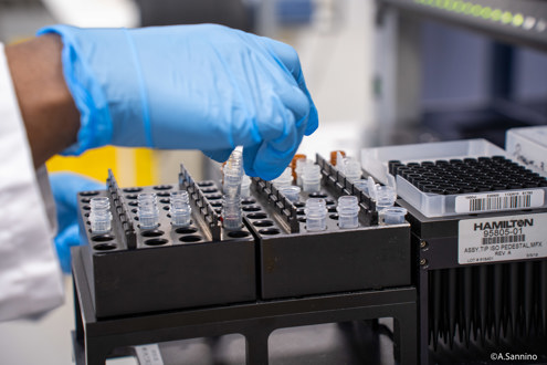 Biogroup recrutement