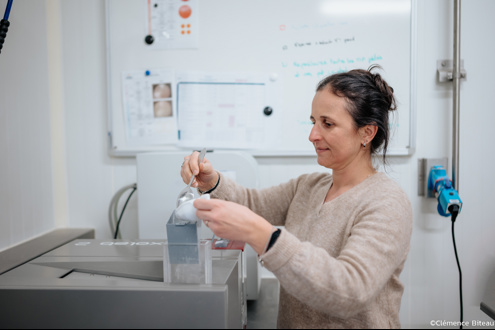 Europe Snacks carrière