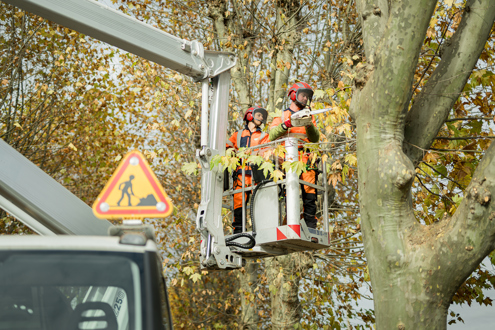 Offres d'emploi CHAZAL