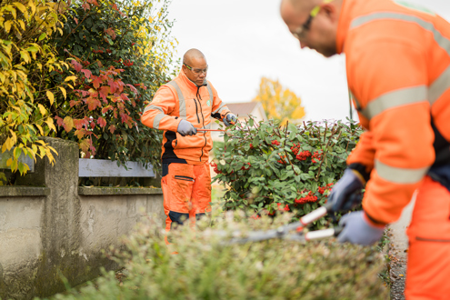 Postuler chez CHAZAL