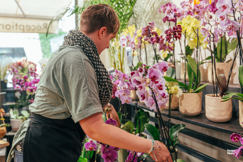 Offres d'emploi Fleurs Ô Naturel