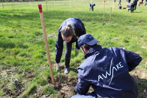 Offres d'emploi INNOVATEAM