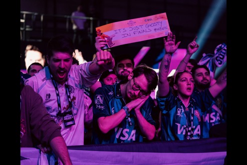 Gentle Mates carrière