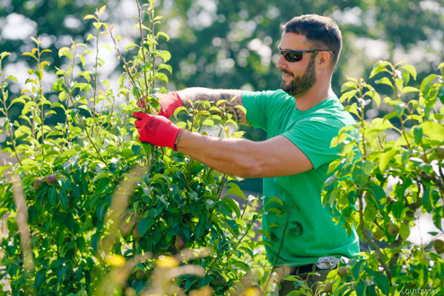 Bourdin Paysage recrutement