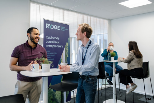 Offres d'emploi RYDGE Conseil