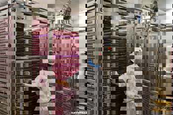 BIMBO QSR recrutement