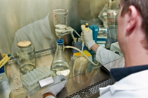 Offres d'emploi Laboratoires Biové (Groupe Inovet)