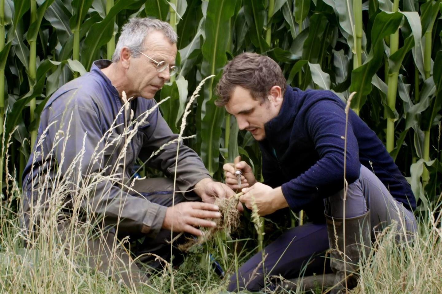 Offre D Alternance Alternant Laval 53 Recrutement Par CERFRANCE Offre D Alternance Alternant Laval 53 Recrutement Par CERFRANCE