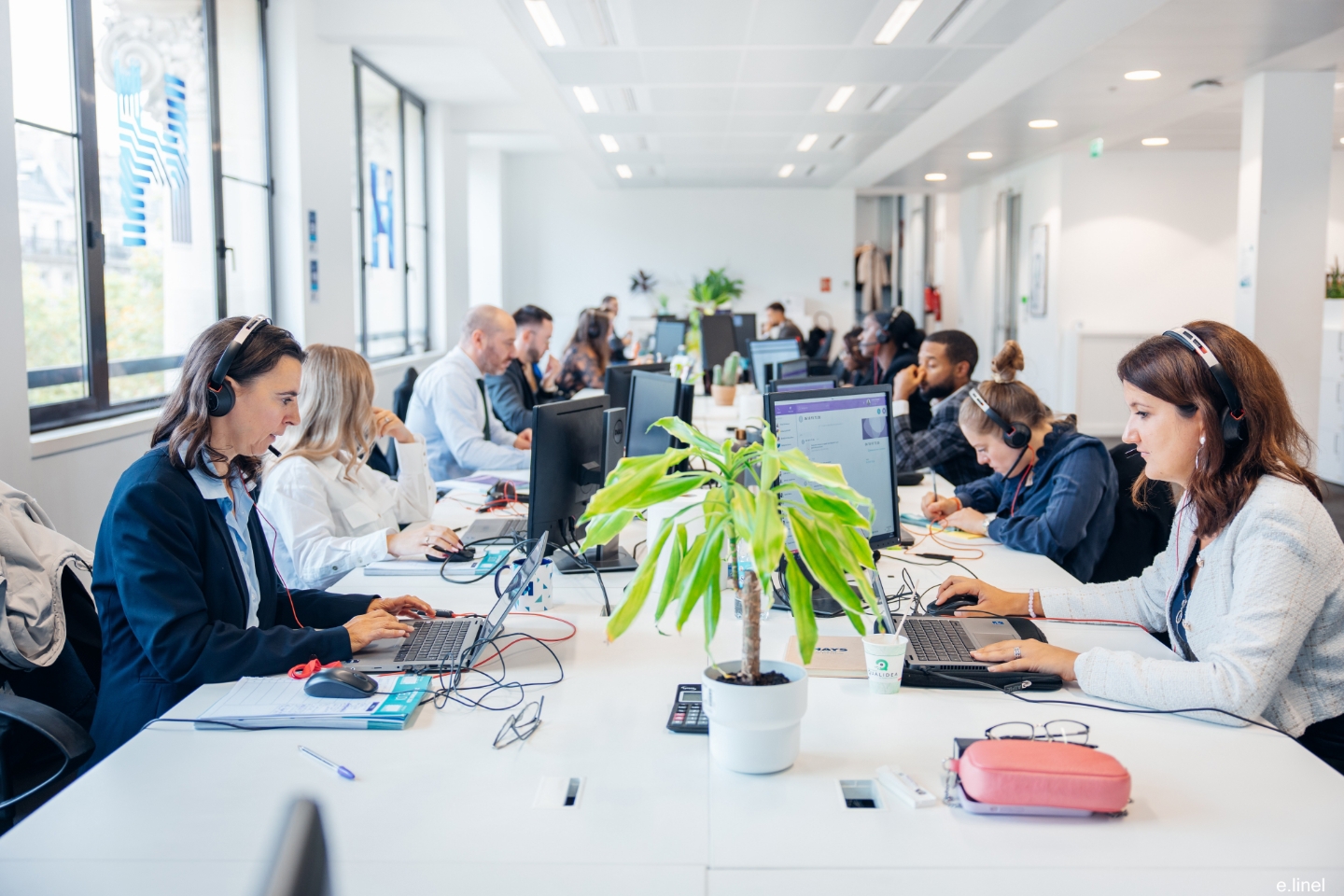 Hays emploi