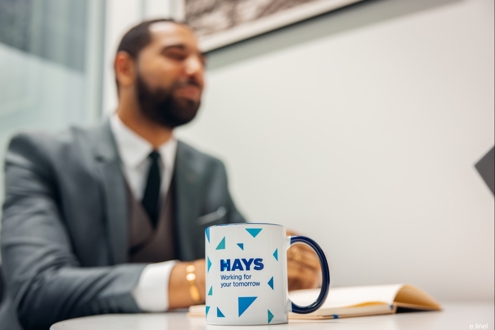 Offres d'emploi Hays