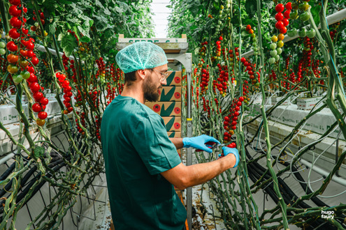 Postuler chez Le Jardin de Rabelais