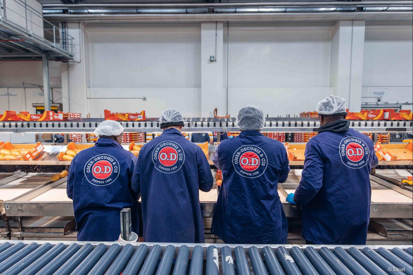 OMER-DECUGIS & CIE emploi