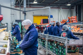 OMER-DECUGIS & CIE recrutement