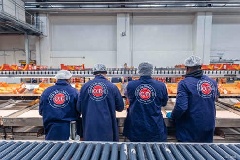 OMER-DECUGIS & CIE Emploi