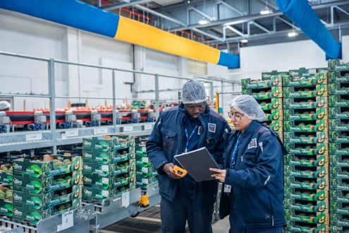 OMER-DECUGIS & CIE recrutement