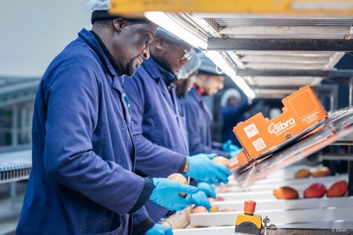 Postuler chez OMER-DECUGIS & CIE