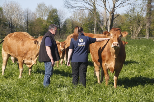 GENES DIFFUSION recrutement