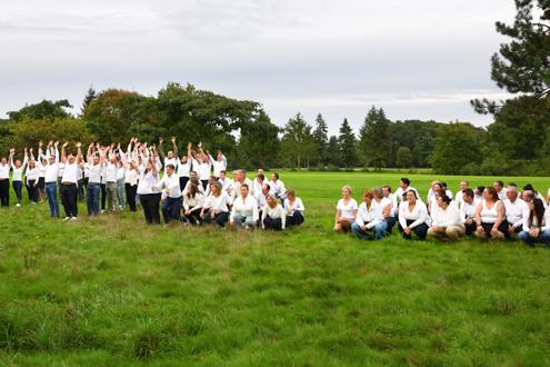 Offres d'emploi TYLS Conseil