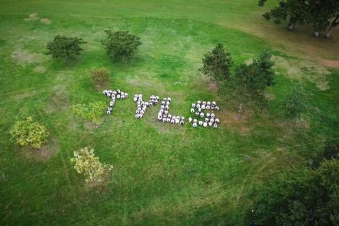 TYLS Conseil carrière