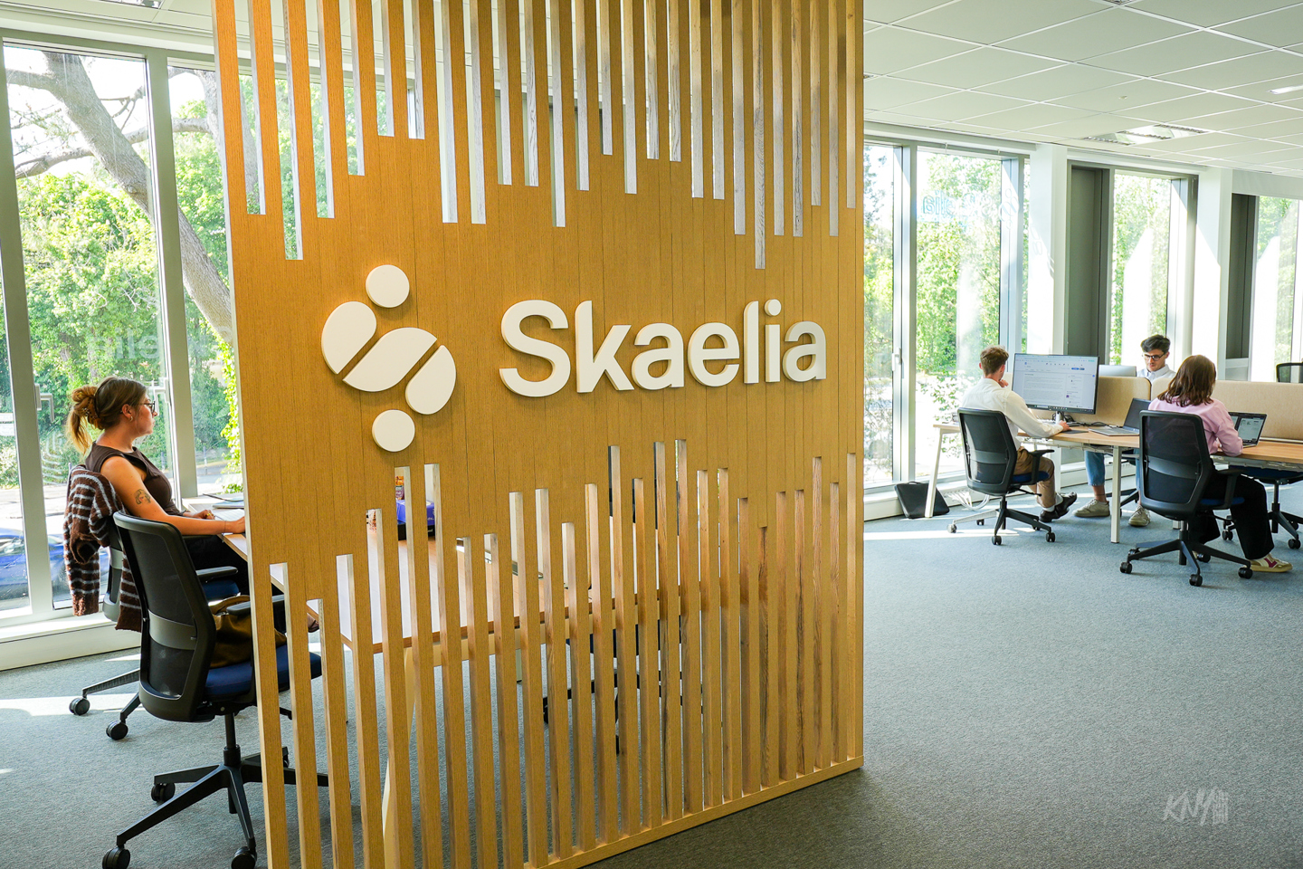 Skaelia emploi