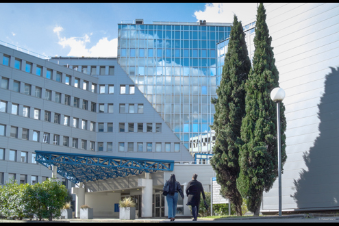 Keos Business School Emploi