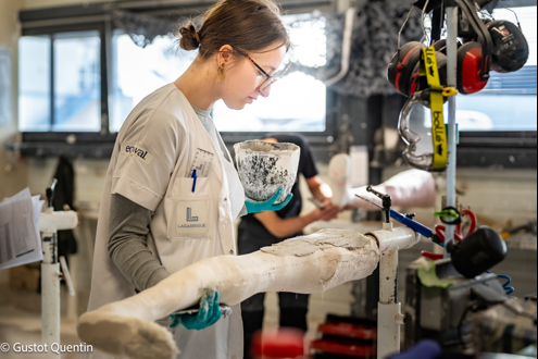 Groupe Lagarrigue recrutement