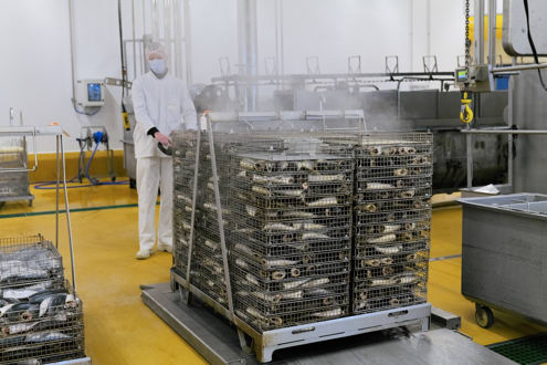 Conserverie Furic carrière