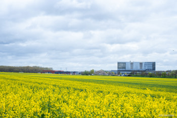 Semardel recrutement