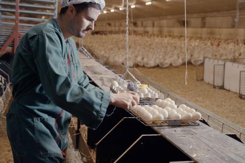 Postuler chez Groupe Grimaud