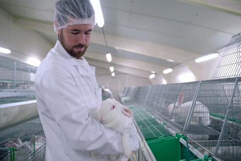 Postuler chez Groupe Grimaud