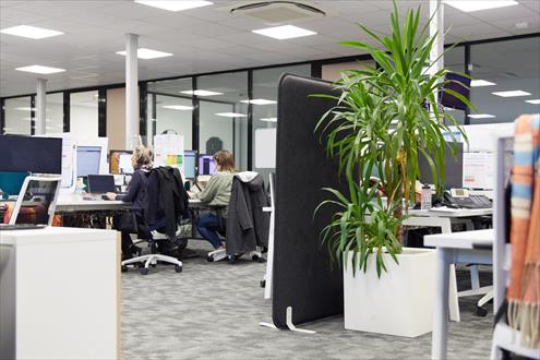 Nexecur Emploi