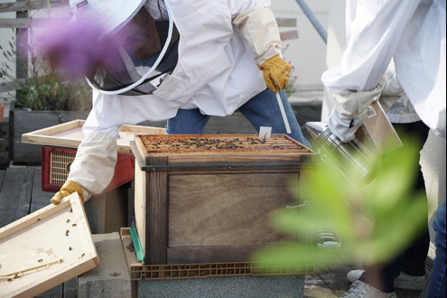 Offres d'emploi GIE SESAM-Vitale
