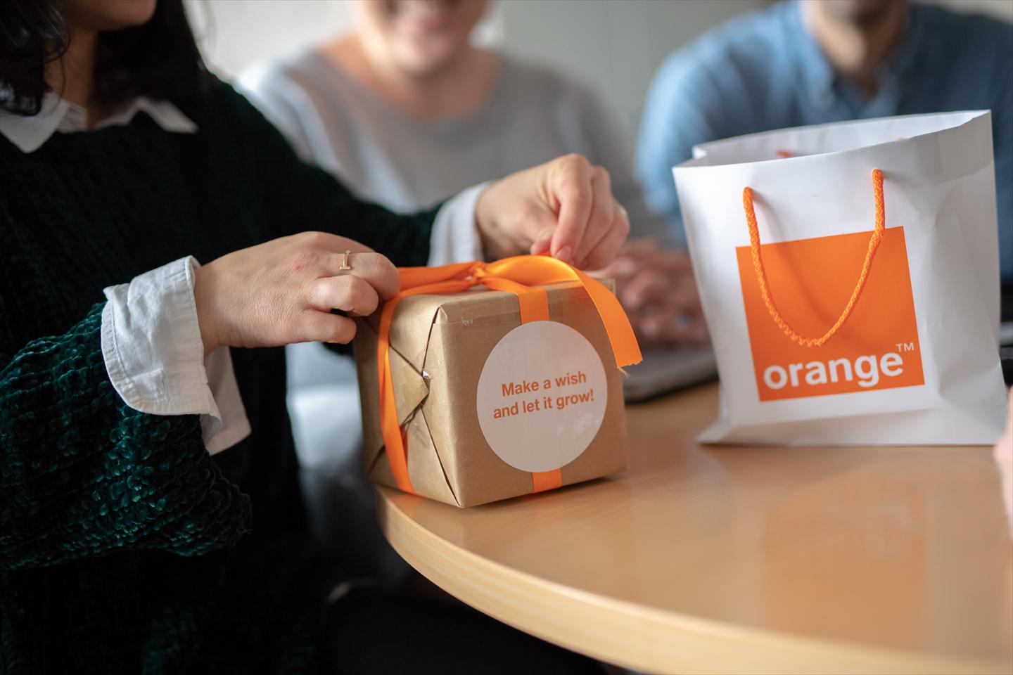 Offre Emploi CDI Conseillère Client Conseiller Client Cluses (74