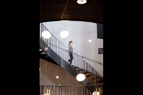 Postuler chez Groupe Avem