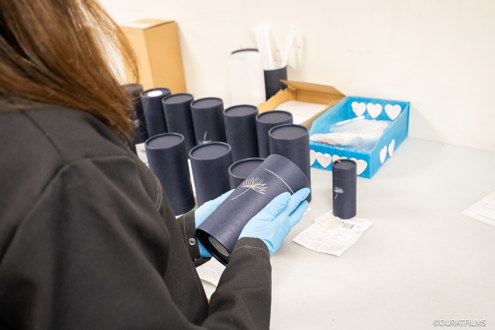 Veternity recrutement