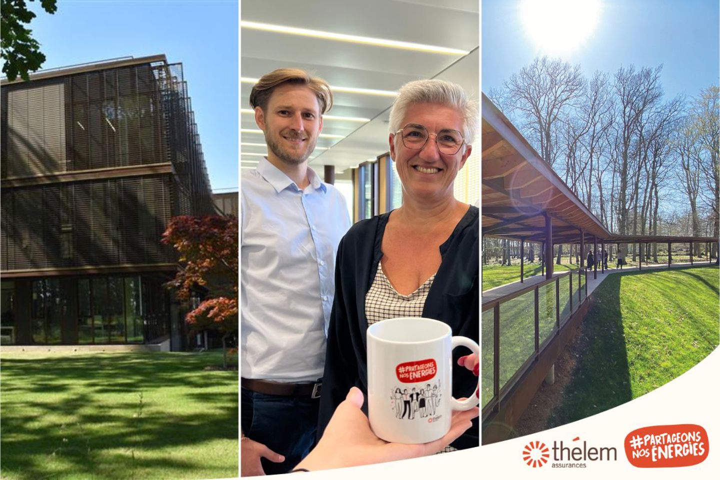 Thélem assurances emploi