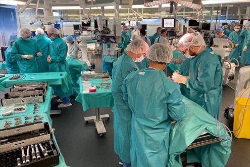 Postuler chez Spineart