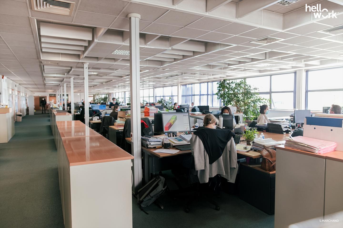 Offre Emploi CDD Assistant Affaires Spéciales AncenisSaintGéréon (44