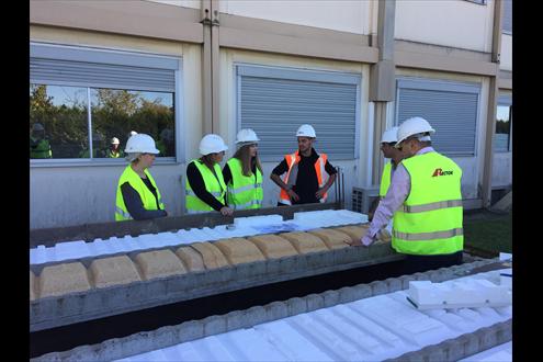 Rector Lesage carrière