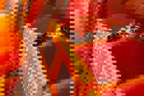 Postuler chez Logista Hometech