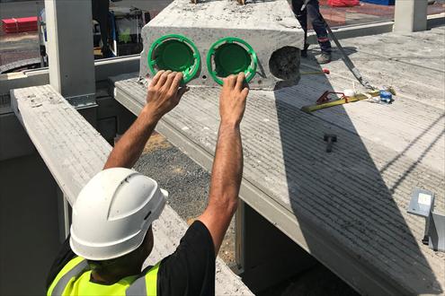 Willy Naessens emploi