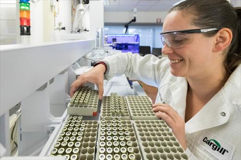 Cargill recrutement